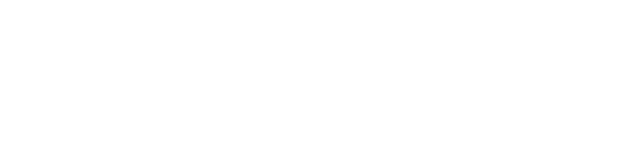 Winter FancyFaire logo